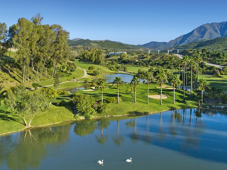 Apartment for Sale in Marbella, Malaga 14