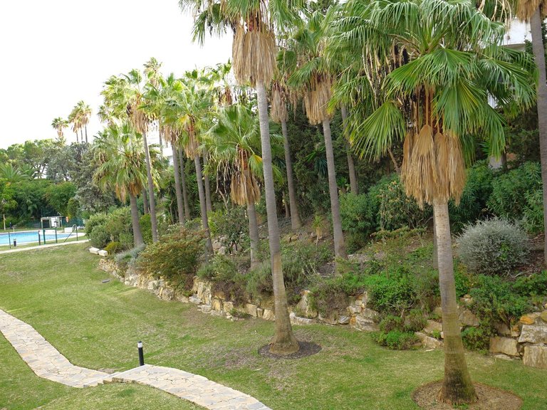 Apartment for Sale in Marbella, Malaga 17