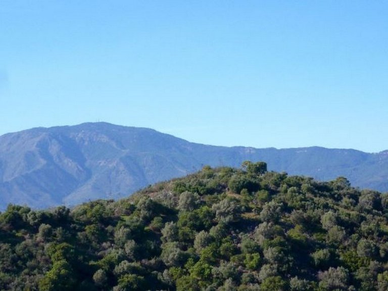 Plot for Sale in Estepona, Malaga 2