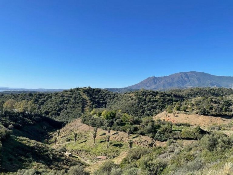 Plot for Sale in Estepona, Malaga 4