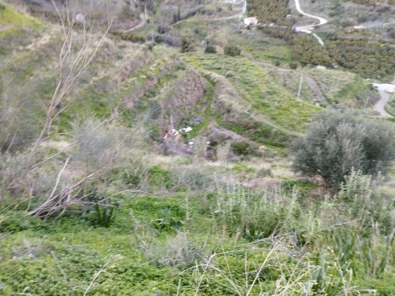 Plot for Sale in Torrox, Malaga 5