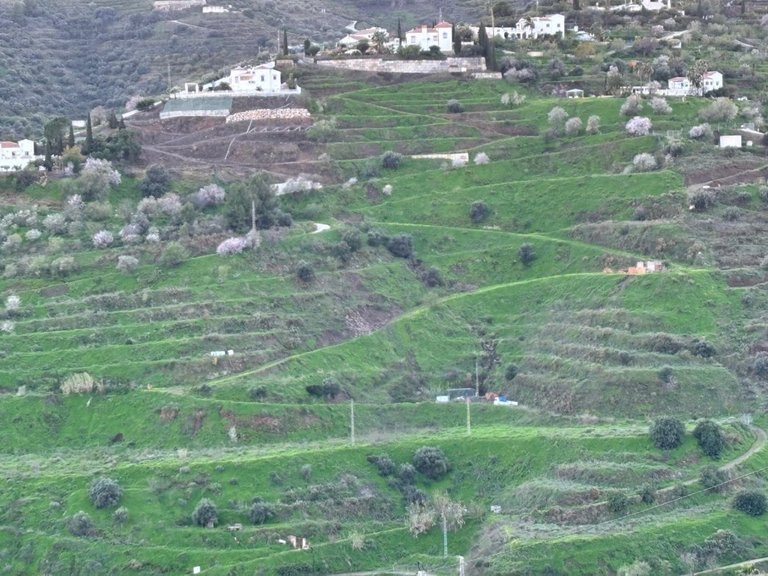 Plot for Sale in Torrox, Malaga 6