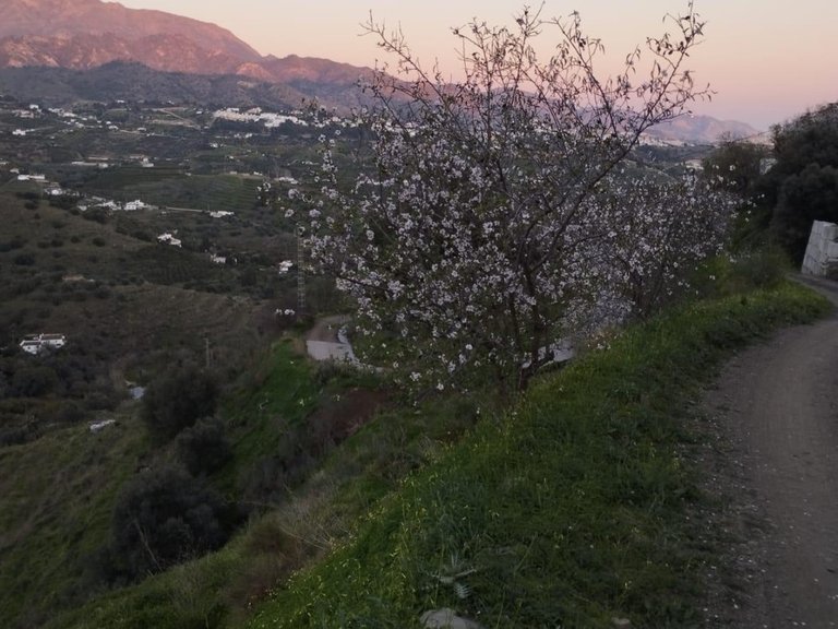 Plot for Sale in Torrox, Malaga 15