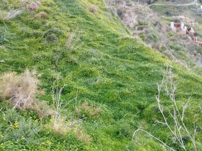 Plot for Sale in Torrox, Malaga 12