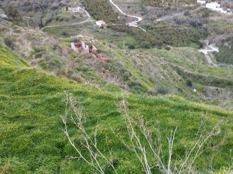 Plot for Sale in Torrox, Malaga 9
