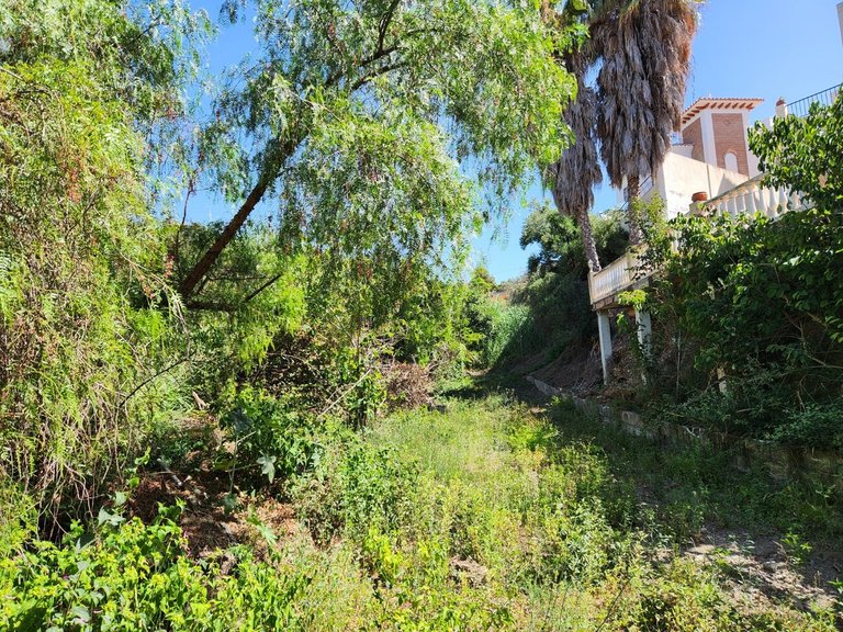 Country House for Sale in Nerja, Malaga 15