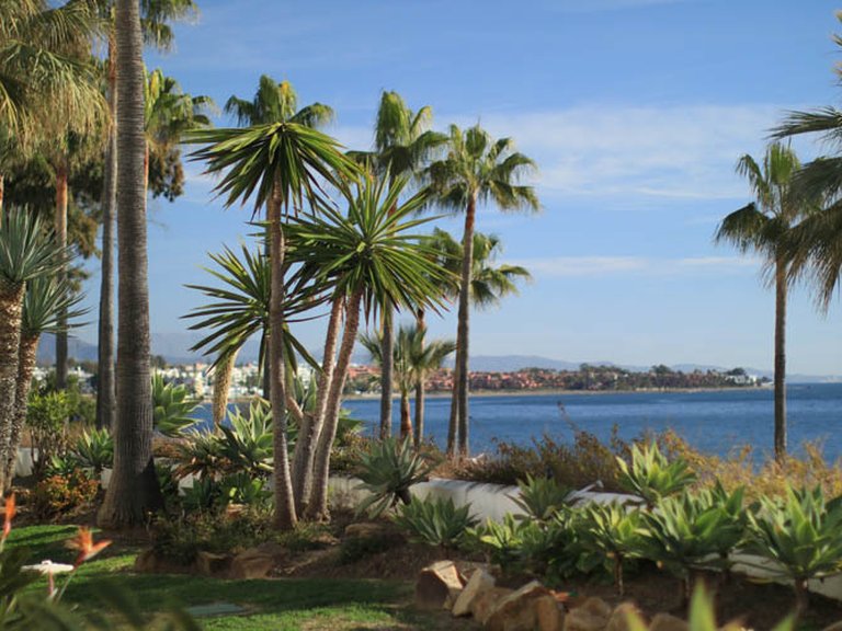 Apartment for Sale in El Velerín, Estepona, Malaga 24