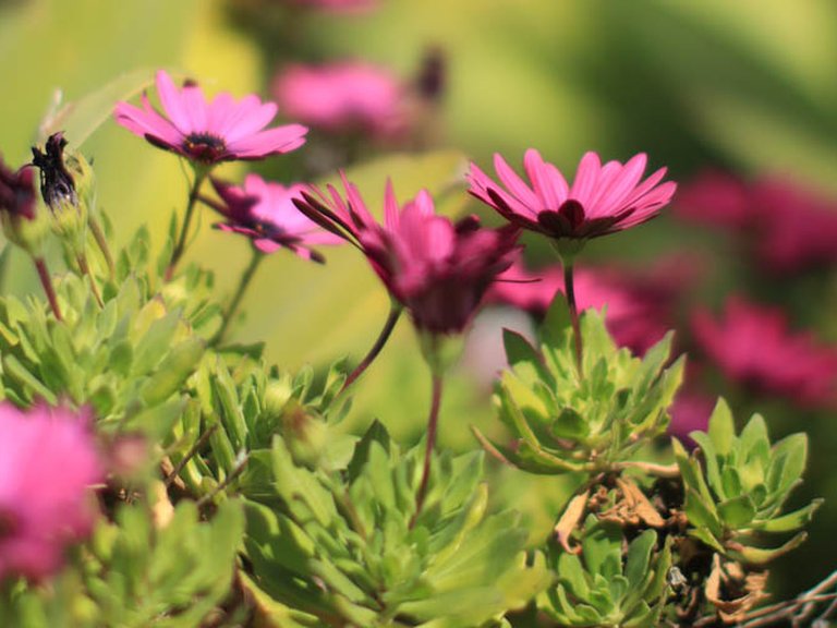 Apartment for Sale in El Velerín, Estepona, Malaga 29