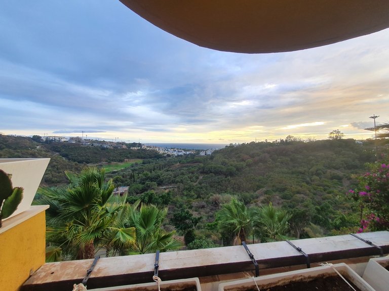 Apartment for Sale in Artola Alta, Marbella, Malaga 6