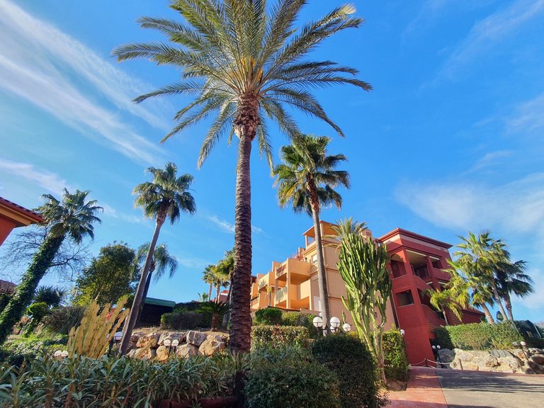 Apartment for Sale in Artola Alta, Marbella, Malaga 42