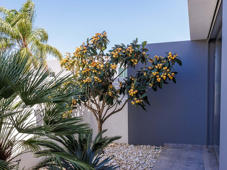Villa for Sale in Lagoa, Algarve, Portugal 29