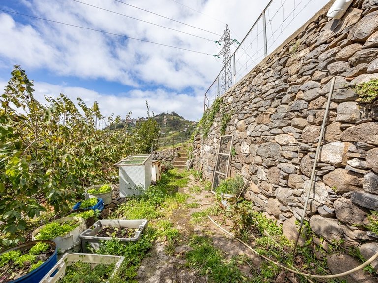 Plot for Sale in Câmara De Lobos, Ilha Da Madeira, Portugal 7