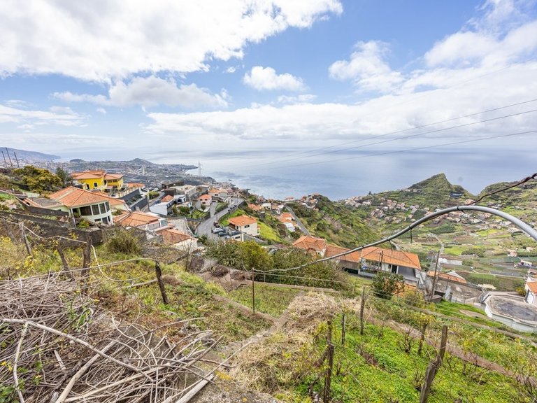 Plot for Sale in Câmara De Lobos, Ilha Da Madeira, Portugal 11