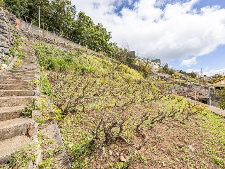 Plot for Sale in Câmara De Lobos, Ilha Da Madeira, Portugal 9