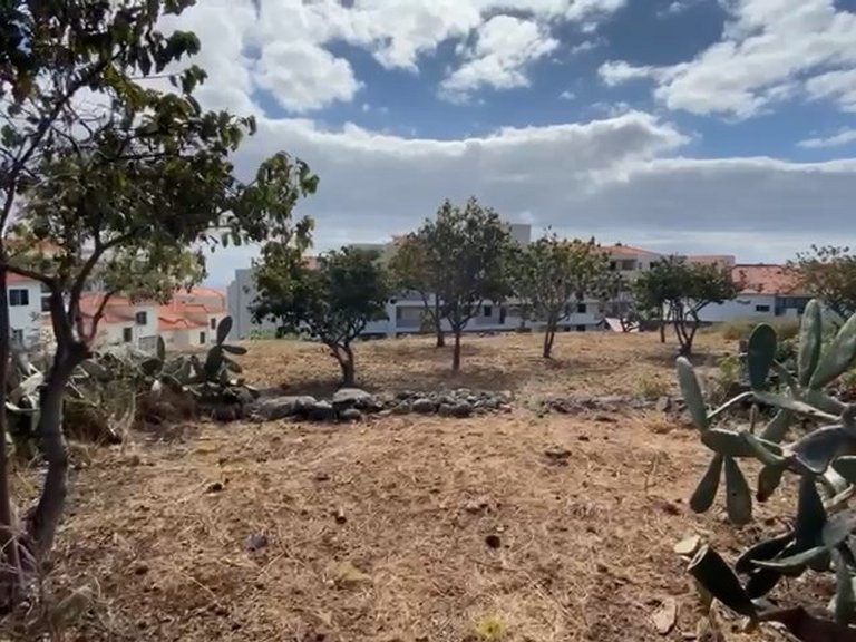 Plot for Sale in Santa Cruz, Ilha Da Madeira, Portugal 5
