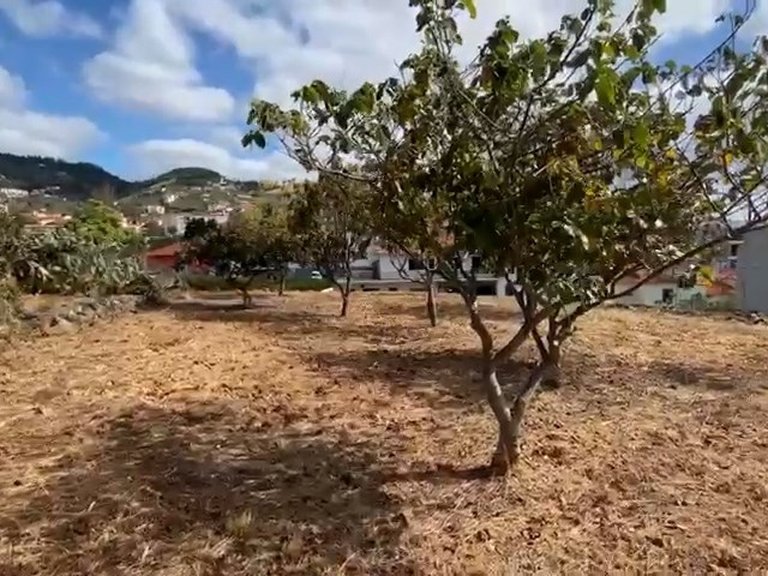 Plot for Sale in Santa Cruz, Ilha Da Madeira, Portugal 4