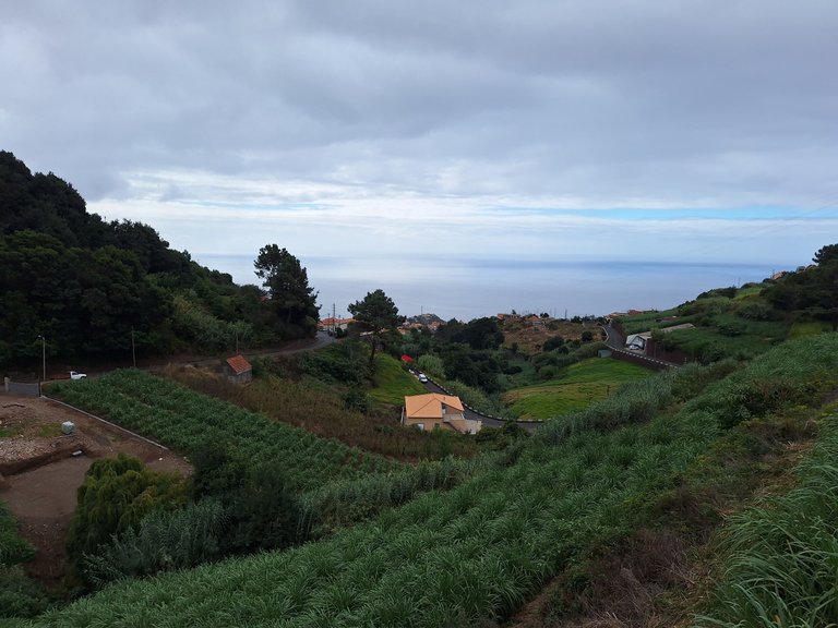 Villa for Sale in Ponta Do Sol, Ilha Da Madeira, Portugal 16