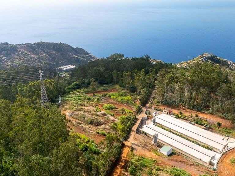 Plot for Sale in Câmara De Lobos, Ilha Da Madeira, Portugal 8