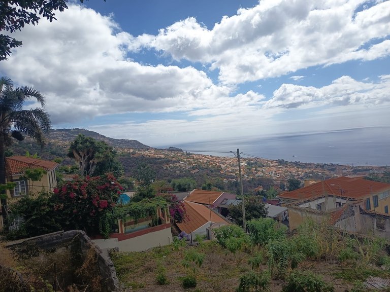 Villa for Sale in Funchal, Ilha Da Madeira, Portugal 3