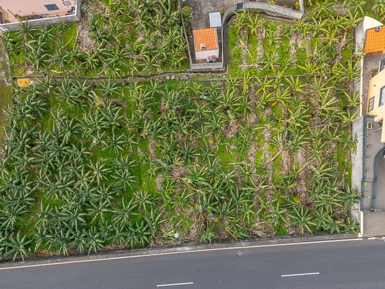 Plot for Sale in Ribeira Brava, Ilha Da Madeira, Portugal 5