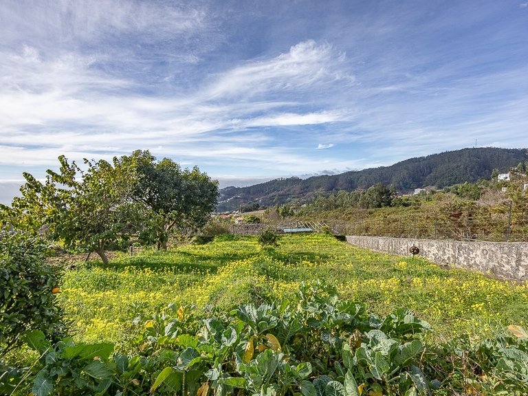 Villa for Sale in Câmara De Lobos, Ilha Da Madeira, Portugal 9