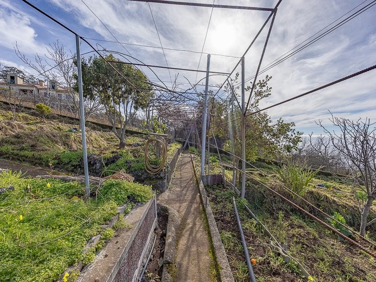 Villa for Sale in Câmara De Lobos, Ilha Da Madeira, Portugal 8