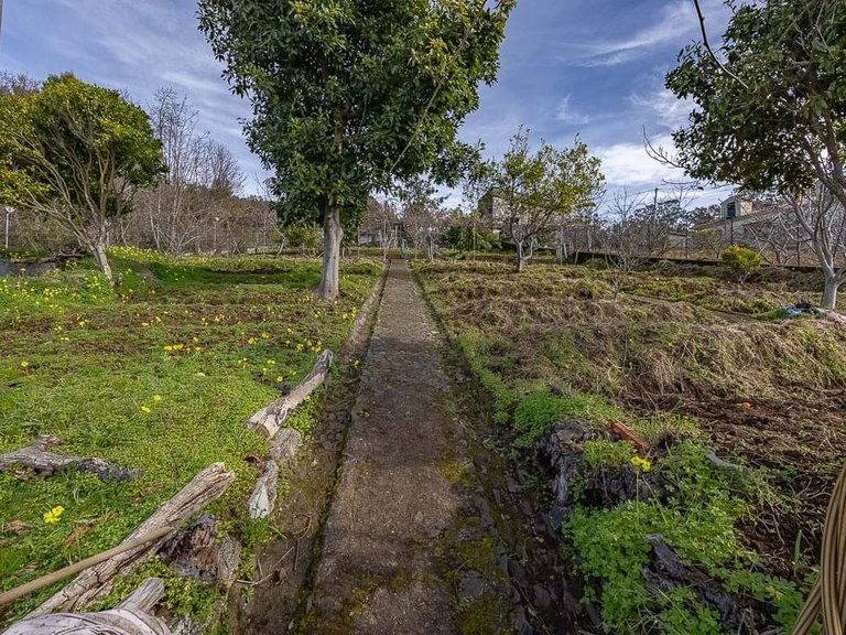 Villa for Sale in Câmara De Lobos, Ilha Da Madeira, Portugal 11