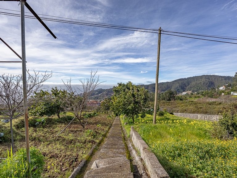 Villa for Sale in Câmara De Lobos, Ilha Da Madeira, Portugal 5