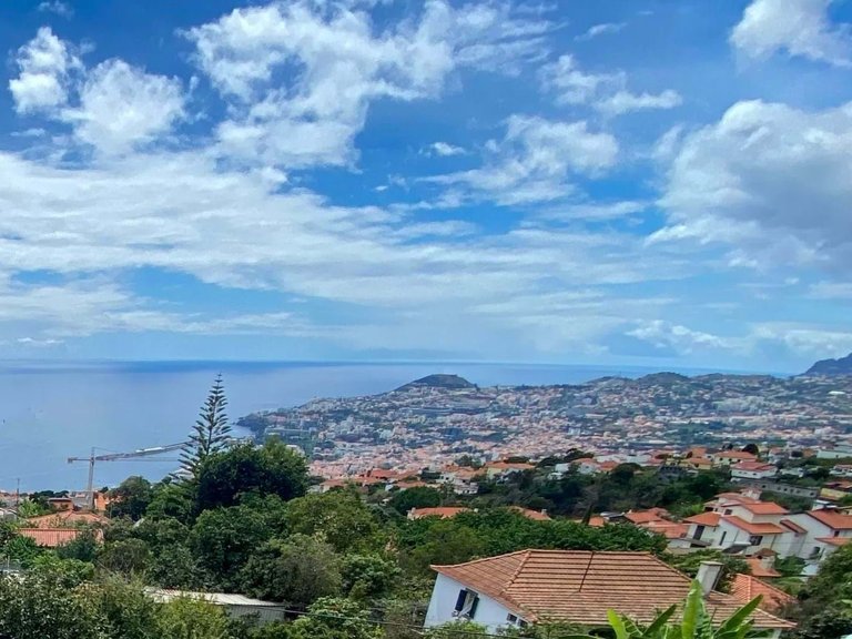 Villa for Sale in Funchal, Ilha Da Madeira, Portugal 29