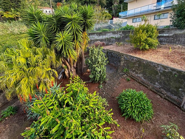 Villa for Sale in Funchal, Ilha Da Madeira, Portugal 28