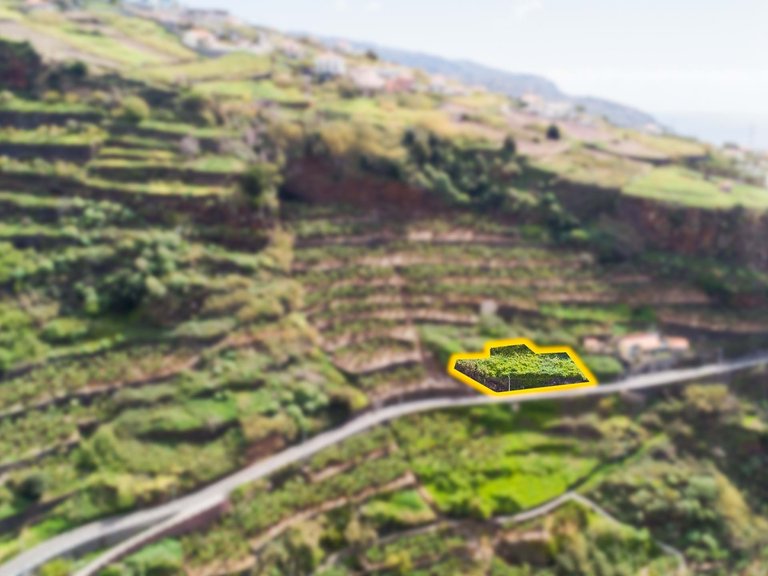 Plot for Sale in Ribeira Brava, Ilha Da Madeira, Portugal 2
