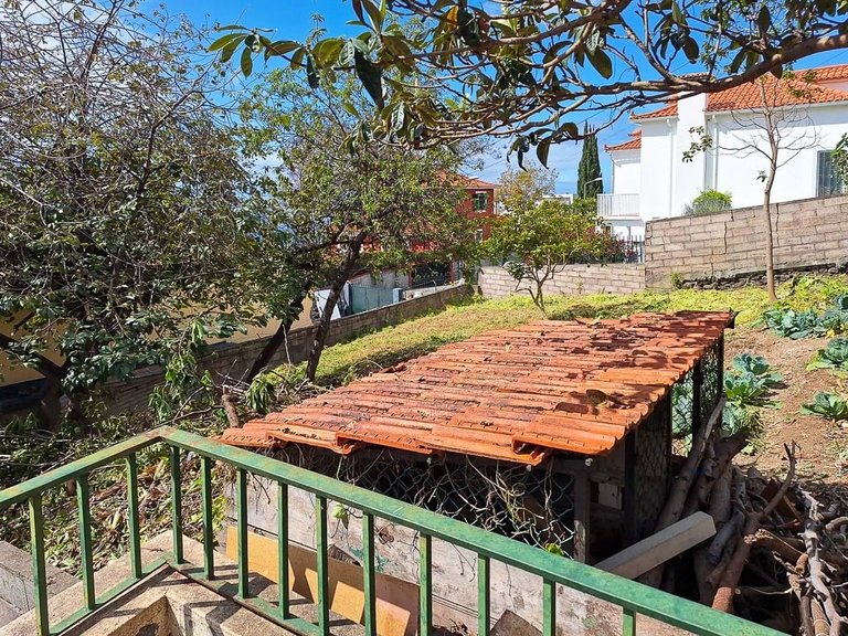 Villa for Sale in Funchal, Ilha Da Madeira, Portugal 11