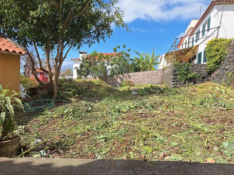 Villa for Sale in Funchal, Ilha Da Madeira, Portugal 10