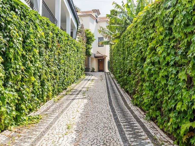 Villa for Sale in Câmara De Lobos, Ilha Da Madeira, Portugal 27