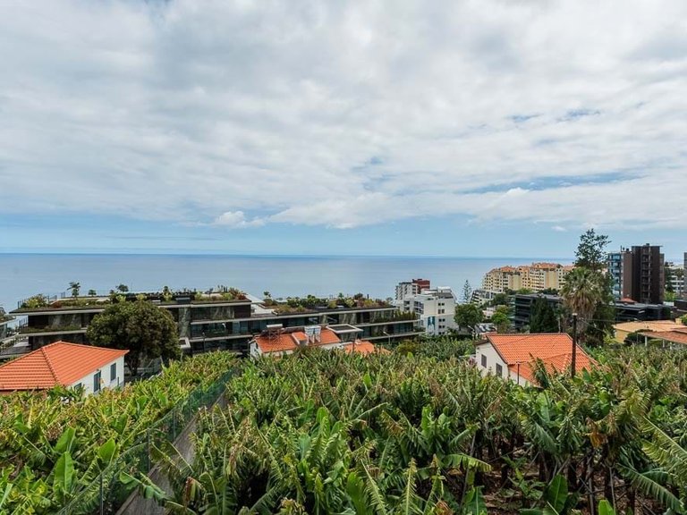 Villa for Sale in Funchal, Ilha Da Madeira, Portugal 17