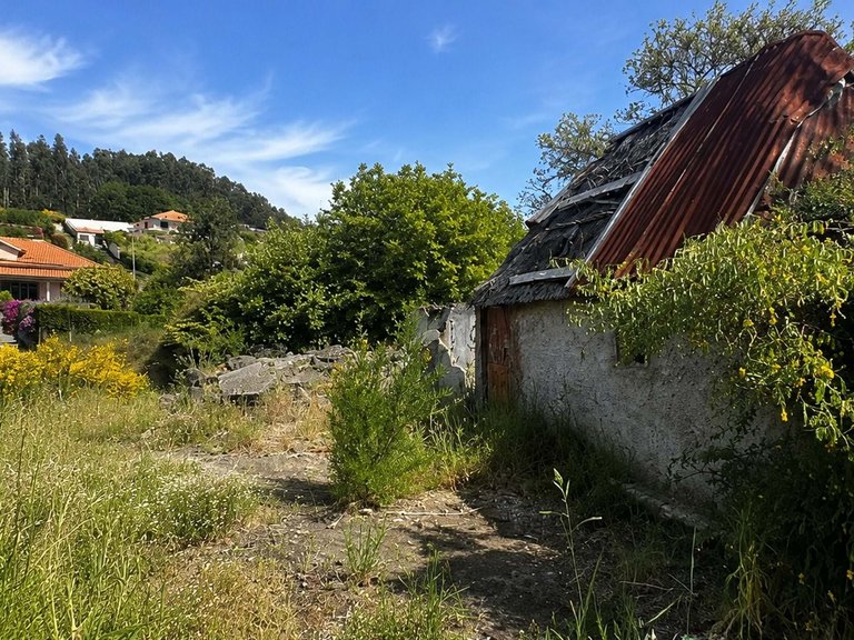 Plot for Sale in Santa Cruz, Ilha Da Madeira, Portugal 4