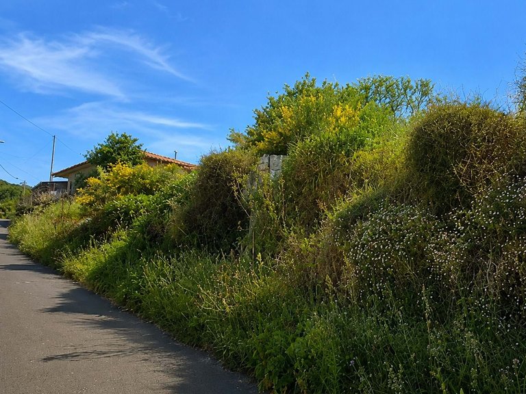Plot for Sale in Santa Cruz, Ilha Da Madeira, Portugal 2