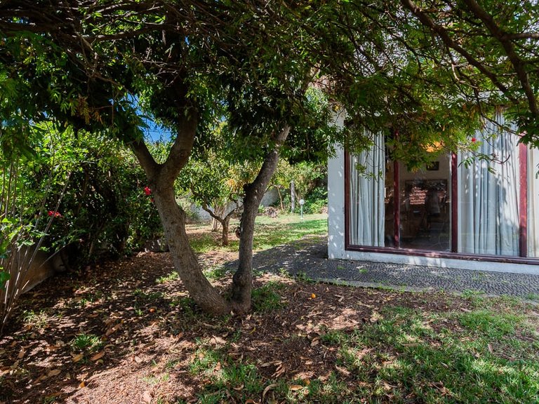 Villa for Sale in Funchal, Ilha Da Madeira, Portugal 5