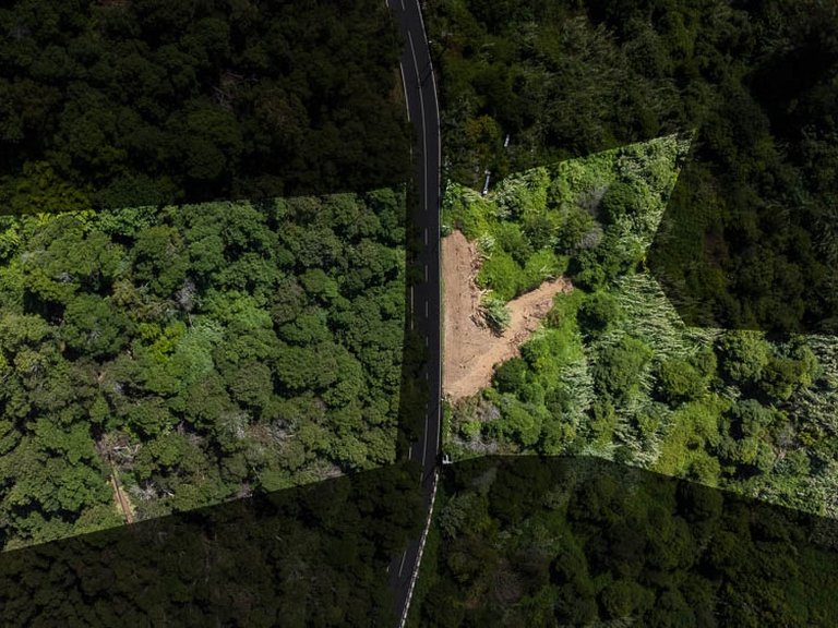 Plot for Sale in Machico, Ilha Da Madeira, Portugal 2