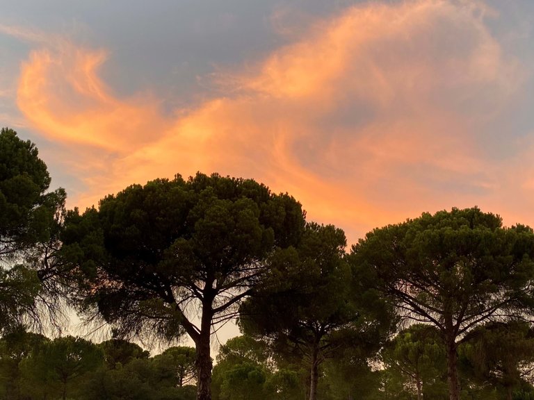 Plot for Sale in Alcácer Do Sal, Setúbal, Portugal 18