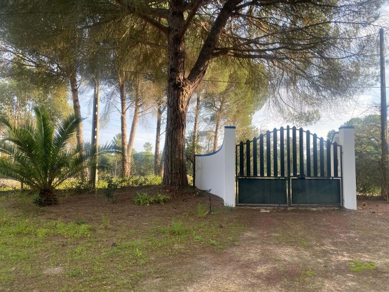 Plot for Sale in Alcácer Do Sal, Setúbal, Portugal 3