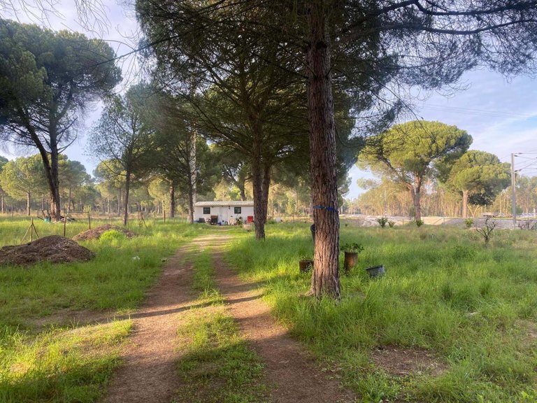 Plot for Sale in Alcácer Do Sal, Setúbal, Portugal 2