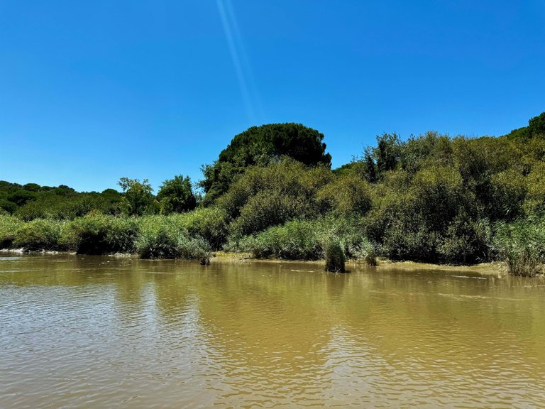 Plot for Sale in Alcácer Do Sal, Setúbal, Portugal 21