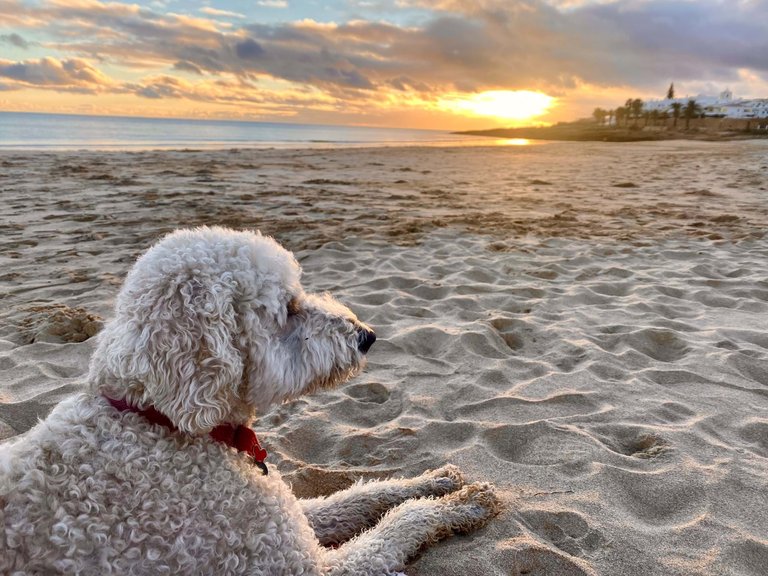 Villa for Sale in Lagos, Algarve, Portugal 20