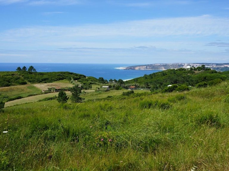 Villa for Sale in Nazaré, Leiria, Portugal 7