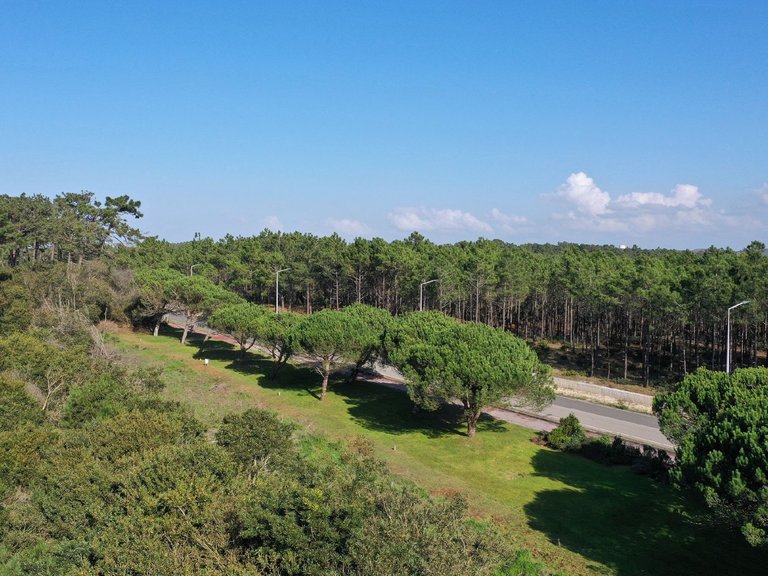 Apartment for Sale in Nazaré, Leiria, Portugal 4