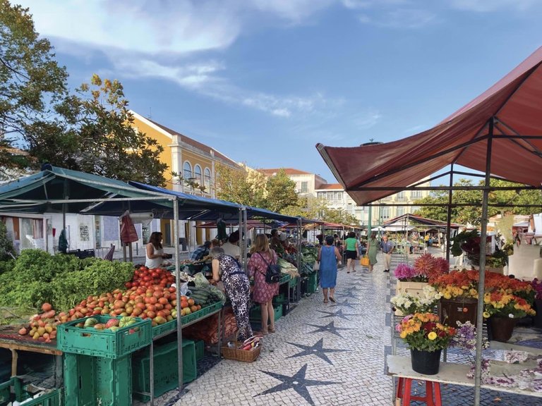 Villa for Sale in Caldas Da Rainha, Leiria, Portugal 11