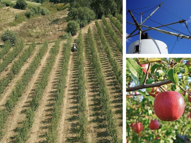 Villa for Sale in Alcobaça, Leiria, Portugal 11