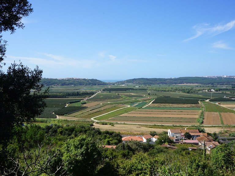 Villa for Sale in Alcobaça, Leiria, Portugal 21