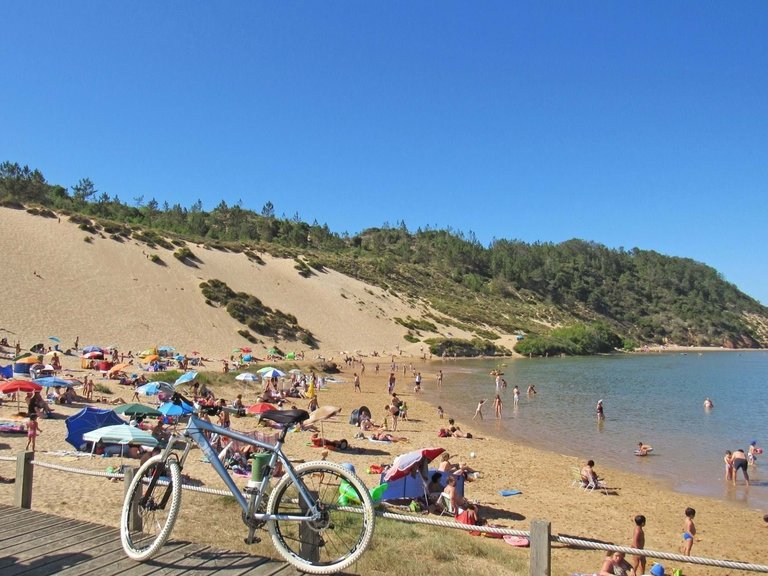 Villa for Sale in Alcobaça, Leiria, Portugal 14